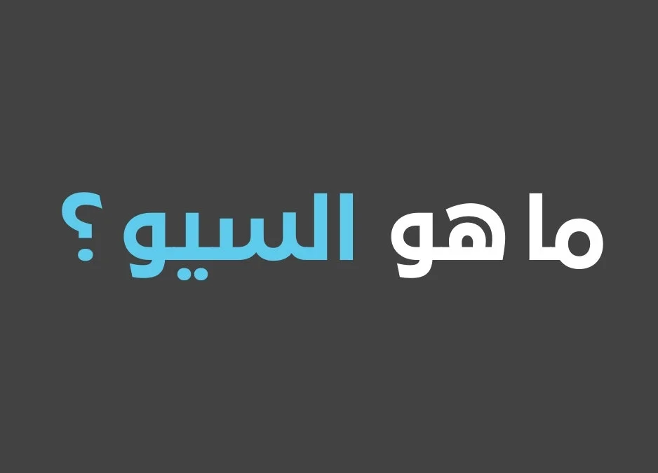 أفضل شركات السيو